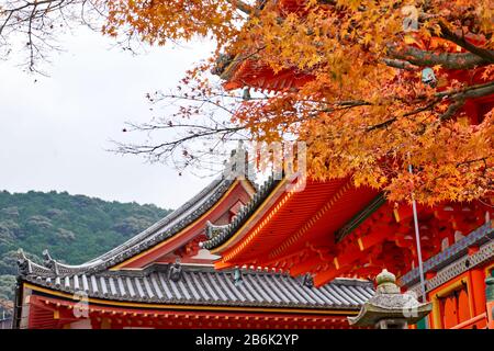 Temple japonais entouré d'arbres en automne Banque D'Images