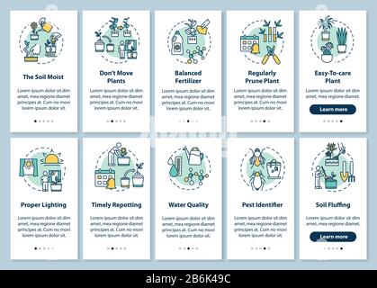 L'écran de la page des applications mobiles d'intégration des plantes ménagères avec des concepts. Sol humide. Qualité de l'eau. Guide de la floriculture étapes graphiques instructions. INTERFACE UTILISATEUR Illustration de Vecteur