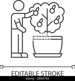 Collecte de fruits à partir de mini-agrumes pixels icône linéaire parfaite. Maison florissante et fruitie. Illustration personnalisable en ligne fine. Symbole de contour Illustration de Vecteur