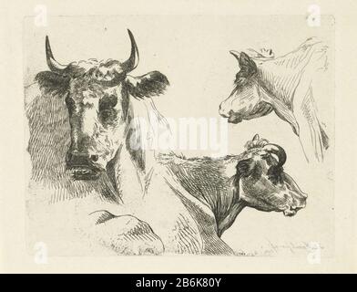 Trois têtes de vaches RP-P-1937-2179 Trois tasses de vaches Type d'objet: Photo Numéro d'article: RP-P-1937-2179 Inscriptions / marques: Marque du collectionneur, verso, estampées: Lugt 2228 marque du collectionneur , verso, estampées: Lugt 2760 Fabricant: Graveur Jean Zacherie Mazel (propriété cotée) à la conception: Henry Svisokch 1884 - Pays-Bas: 1884 Date de fabrication: Matériau de gravure: Technique du papier: Dimensions de gravure: Bord de la plaque: H 120 mm × W 154 mm Sujet: Vache Banque D'Images