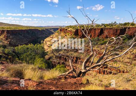 Vue sur le paysage de la gorge de Dale dans le parc national de Karajini, en Australie occidentale Banque D'Images