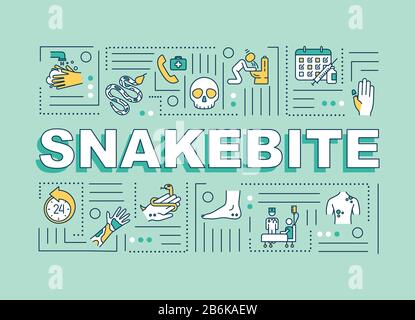 Snakebite premiers soins et médicaments, blessure réaction allergique symptôme symptômes mot concepts bannière. Infographies avec icônes linéaires sur fond bleu. Isolé Illustration de Vecteur