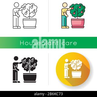 Collecte de fruits à partir de l'icône du mini-citrus. Entretien de l'arbre orange miniature. Usine florissante. Fructification de la maison. Culture de plantes. Linéaire noir Illustration de Vecteur