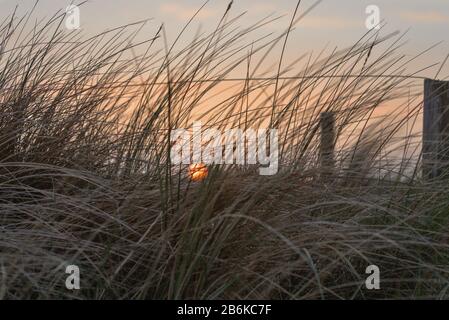 Côte de la mer du Nord au coucher du soleil en été. Pays-Bas, Europe Banque D'Images