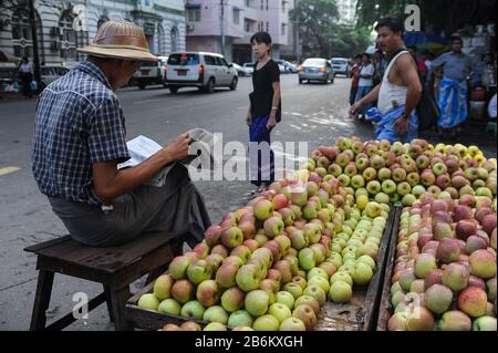 23.09.2013, Yangon, République de l'Union du Myanmar, Asie - un vendeur de fruits attend des clients à côté de son stand avec des pommes et lit le journal. Banque D'Images