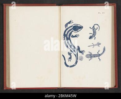 Evolutie van ei tot salamandre évolution de l'oeuf au salamandre type d'objet: Impression photomécanique Numéro d'objet: RP-F-2001-7-115-3 Inscriptions / marques: Nombre, recto, imprimé, 'Pl. III.' Fabricant : fabricant: Anonyme date: CA. 1890 - avant ou vers l'avant 1900 matériau: Technique du papier: Autotypique Dimensions: Photo: H 126 mm × W 115 mmToelichtPrent après la page 88. Objet: Amphibiens avec Banque D'Images