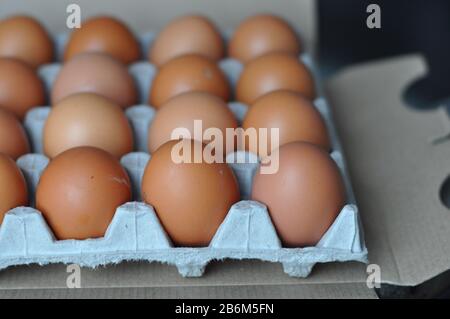 Vue sur une boîte ouverte d'œufs de poulet brun pour un marché ou un magasin. Un paquet de dix œufs de poulet crus pour la nourriture ou d'autres aliments sains. Banque D'Images