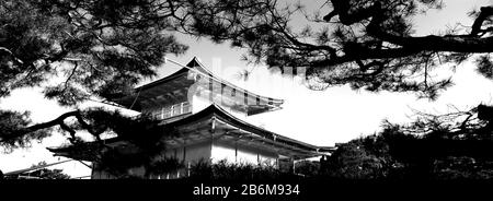 Vue à bas angle des arbres devant un temple, le temple Kinkaku-ji, la ville de Kyoto, la préfecture de Kyoto, la région Kinki, Honshu, Japon Banque D'Images