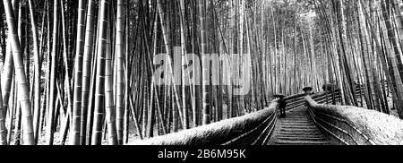 Passage en escalier traversant une forêt de bambou, Arashiyama, préfecture de Kyoto, région de Kinki, Honshu, Japon Banque D'Images