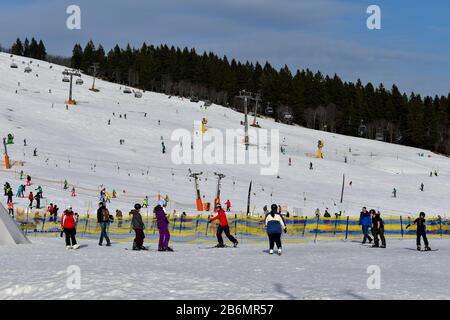 Feldberg, Allemagne - 25 janvier 2020: Pistes de ski et skieurs sur le Feldberg. Banque D'Images