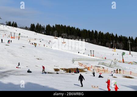 Feldberg, Allemagne - 25 janvier 2020: Pistes de ski et skieurs sur le Feldberg. Banque D'Images