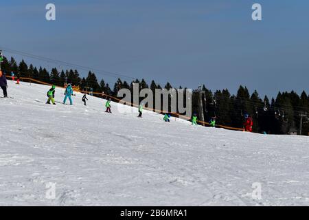 Feldberg, Allemagne - 25 janvier 2020: Pistes de ski et skieurs sur le Feldberg. Banque D'Images