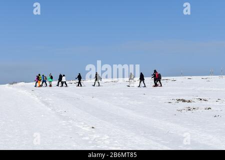 Feldberg, Allemagne - 25 Janvier 2020: Randonnée En Raquettes. Banque D'Images