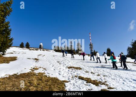 Feldberg, Allemagne - 25 Janvier 2020: Randonnée En Raquettes. Banque D'Images