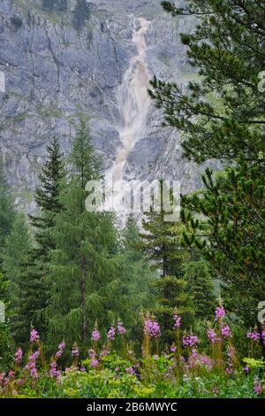 Chute d'eau boueuse lors d'une forte tempête dans les montagnes des Dolomites, en Italie, avec des fleurs sauvages roses en premier plan. Banque D'Images