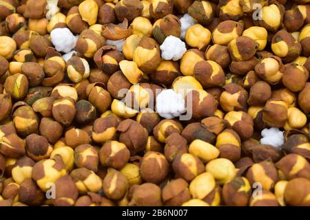 Chickpea rôti / chana connu sous le nom de Pakistan ou de Phutana en hindi Banque D'Images