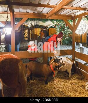 Prague, RÉPUBLIQUE TCHÈQUE - DÉCEMBRE 2017: La famille nourrit et touche des animaux dans une clôture de Noël traditionnelle à Prague Banque D'Images