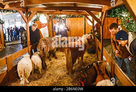 Prague, RÉPUBLIQUE TCHÈQUE - DÉCEMBRE 2017: La famille nourrit et touche des animaux dans une clôture de Noël traditionnelle à Prague Banque D'Images