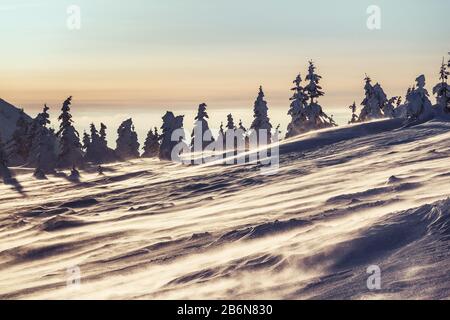 Flanc de montagne à la tempête de neige avec vent et blizzard Banque D'Images