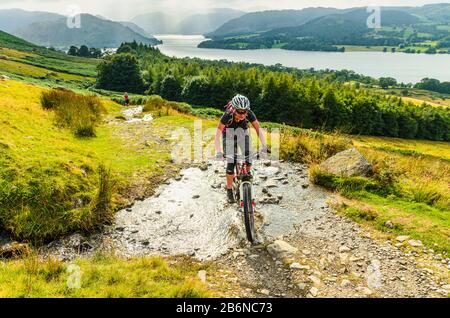 Des moeurs de montagne sur le sentier de Howtown à Moor Divock au-dessus d'Ullswater dans le parc national du Lake District Banque D'Images