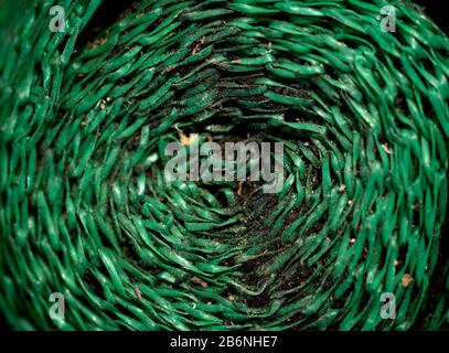 détail d'un morceau de plastique sale et enroulé vert et délaissé sur le terrain à l'extérieur Banque D'Images