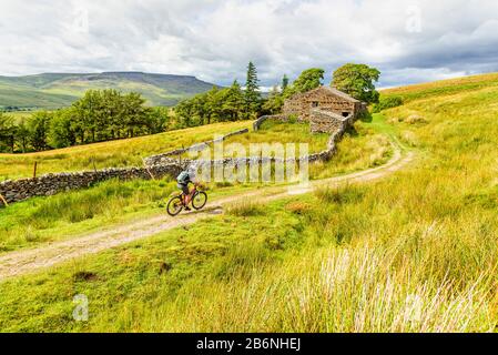 Cycliste passant une ferme ruinée sur Lady Anne's High Way (Pennine Bridgleway) dans le Yorkshire Dales, avec Wild Boar Est Tombé derrière Banque D'Images