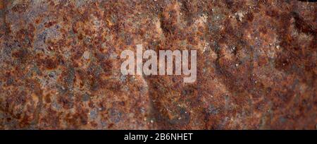 détail d'un morceau de tôle rouillée abandonnée avec couleur de cuivre et rouille Banque D'Images