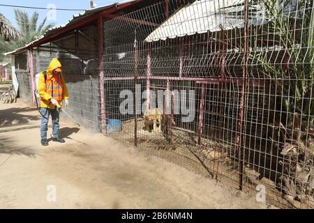 Un travailleur palestinien désinfecte un zoo comme mesure pour empêcher la propagation du nouveau Coronavirus, à Rafah, dans le sud de la bande de Gaza, le 11 mars 2020. Banque D'Images