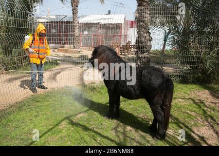 Un travailleur palestinien désinfecte un zoo comme mesure pour empêcher la propagation du nouveau Coronavirus, à Rafah, dans le sud de la bande de Gaza, le 11 mars 2020. Banque D'Images