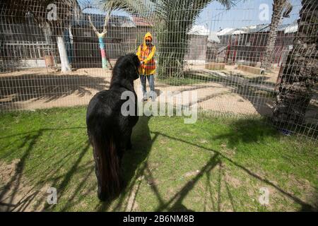 Un travailleur palestinien désinfecte un zoo comme mesure pour empêcher la propagation du nouveau Coronavirus, à Rafah, dans le sud de la bande de Gaza, le 11 mars 2020. Banque D'Images