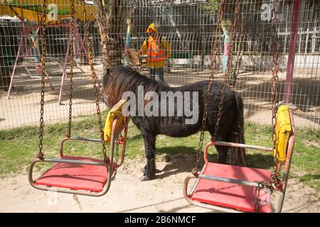 Un travailleur palestinien désinfecte un zoo comme mesure pour empêcher la propagation du nouveau Coronavirus, à Rafah, dans le sud de la bande de Gaza, le 11 mars 2020. Banque D'Images