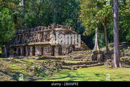 Ruine maya de Yaxchilan avec structure de Labyrinth dans la forêt tropicale, Chiapas, Mexique. Banque D'Images