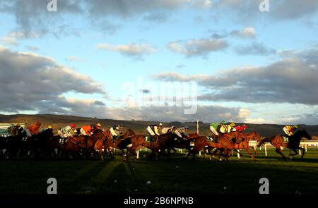 Action de course pendant le Pare-Chocs Weatherbys Champion au deuxième jour du Cheltenham Festival à l'hippodrome de Cheltenham. Banque D'Images