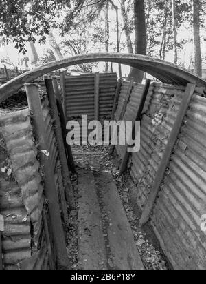 La guerre des tranchées à la colline 62 1 Bois du Sanctuaire sur la bataille d'Ypres, Belgique. Banque D'Images