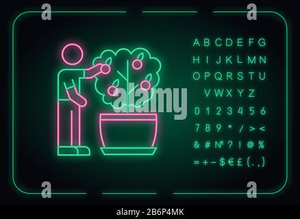 Collecte de fruits à partir de l'icône du néon du mini-agrumes. Entretien de l'arbre miniature. Usine florissante. Effet brillant extérieur. Signe avec alphabet, chiffres Illustration de Vecteur