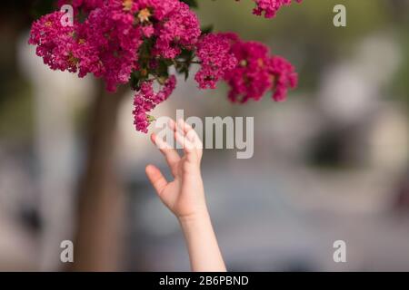 Arrêter et sentir les fleurs. Banque D'Images