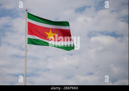 Suriname drapeau national volant dans le vent Banque D'Images