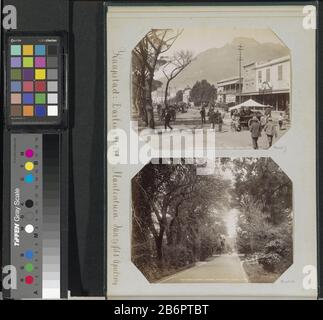 Gezicht op de botanische tuin te Kaapstad Déze foto maakt deel uit van een album. Fabricant : fotograaf: George Washington Wilson (vermeld op object)Plaats fabriquent: Kaapstad Dating: 1870 - 1893 matériau: Fotopapier Techniek: Albuminedruk Dimensions: Albumblad: H 258 mm × b 360 mm Objet: Jardin botanique, 'hortus botanicus' Banque D'Images