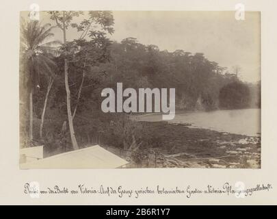 Gezicht op een baai bij Victoria (Kameroen) op de sens van de botanische tuin en een plantage partie de l'album avec les enregistrements du Cameroun vers 1899. Fabricant : Photographe: Fabrication anonyme: Cameroun Date: 1899 Caractéristiques physiques: Albumine matière d'impression: Papier photo technique: Albumen tailles d'impression: H 131 mm × W 201 mm Objet: Golfe, baie (+ paysage avec chiffres, étalage) Où: Afrique Banque D'Images