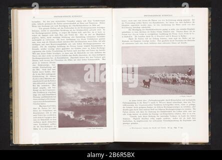 Gezicht op een kudde schapen met herder en hond vue d'un troupeau de moutons avec chien berger Type d'objet: Photo-mécanique imprimer page Numéro d'article: RP-F 2001-7-968-3-45 Fabricant : Photographe: A. Wande (bâtiment classé) fabricant: Riffarth & Co Meisenbach (possible) Lieu de fabrication: Berlin Date: Vers 1895 - ou pour 1900 matériau: Technique du papier: Autotypique Dimensions: Imprimer: H 96 mm × W 145 mmToelichtPrent page 51. Objet: Bergers, herdsman, herdswoman, berger, bergers, lâches, troupeau , etc.dog Banque D'Images