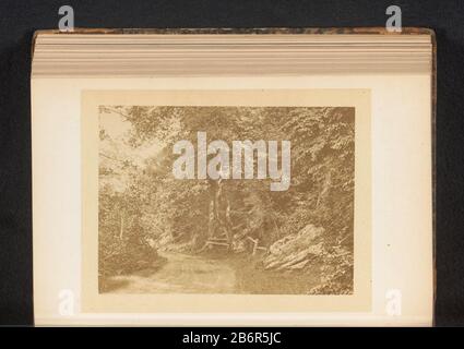 Gezicht op een landweg in een bos vue d'une route de terre dans un bos Type d'objet : page photo Numéro d'article: RP-F 2001-7-961-10 Fabricant : Photographe: J.C. Brown Photographe: H. David Date: Vers 1861 - ou pour 1866 matériau: Papier technique: Albumen dimensions imprimées: Photo: H 116 mm × W 157 mmToelichtingFoto en face de la page 289, derrière semitransparent omslag. Objet: Forêt, route du bois, chemin Banque D'Images