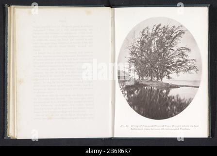 Gezicht op een rij bomen à Paea op Tahiti Groupe d'arbres Ironwood à Paea, l'endroit où la dernière bataille a eu lieu entre chrétiens et Heathen (objet op titel) vue d'une rangée d'arbres à Paea dans Tahiti Groupe d'arbres Ironwood à Paea, L'endroit où la dernière bataille a surpassé entre chrétiens et Heathen (titre objet) Type de propriété: Photo-mécanique imprimer page Numéro d'article: RP-F 2001-7-688-12 Inscriptions / marques: Numéro, recto, imprimé: 'No Fabricant : Photographe: Henry Stuart Wortleyclichémaker: Autotype De Meisenbach Éditeur De Société: Autotype De Meisenbach'S Autotype Company Pla Banque D'Images