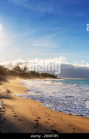 États-Unis D'Amérique, Hawaï, Île De Maui, Baldwin Beach Banque D'Images