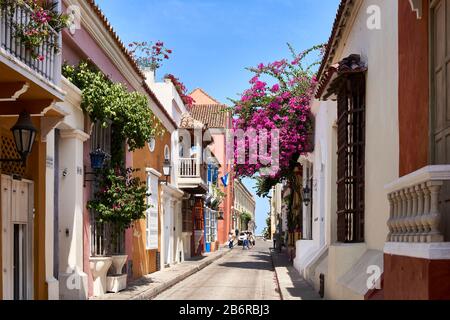 Rue résidentielle colorée dans la vieille ville de Carthagène, Colombie Banque D'Images