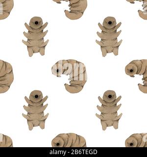 Tardigrades à motif aquarelle sans coutures, joli ours en eau Banque D'Images