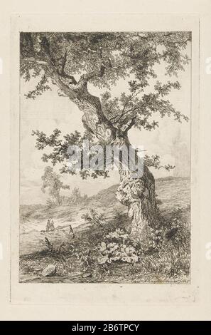 Heuvelachtig landschap a rencontré een scheve boom en twee erwelaars Dans un paysage vallonné, au premier plan un arbre de travers, marcher un homme et une femme avec deux honden. Fabricant : printmaker: Martinus Antonius Kuytenbrouwer Jr. (Propriété cotée) Lieu de fabrication:. Paris Date: 1845 Caractéristiques physiques: Gravure et roulette matériau: Papier technique: Gravure / roulette dimensions: Bord de la plaque: H 221 mm × W 143 mm Sujet: Treesdog'en route ', voyageur en route Banque D'Images