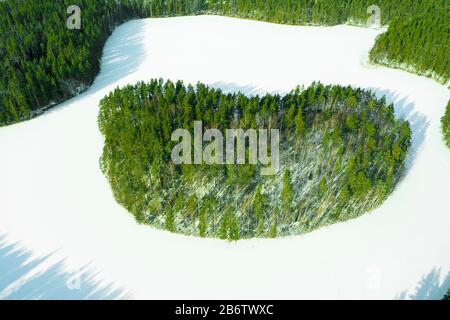 Vue aérienne sur le lac sauvage gelé en hiver. Petit lac gelé dans la forêt de pins verts. Paysage avec lac. Vue aérienne sur le lac depuis l'Abov Banque D'Images