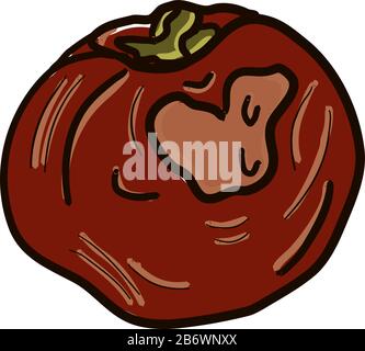 Tomate pourrie, illustration, vecteur sur fond blanc. Illustration de Vecteur