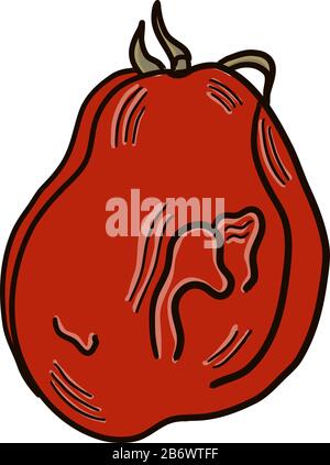 Tomate pourrie, illustration, vecteur sur fond blanc. Illustration de Vecteur