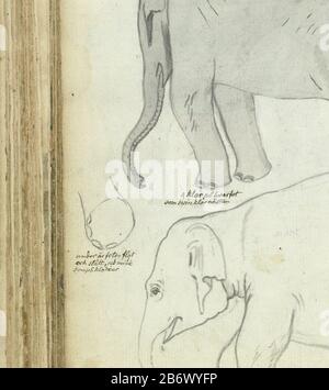 Jonge olifant dessin noir et blanc d'un éléphant d'un an et quelques croquis de pinceau de sa jambe et de son corps. Avec inscription. Partie du livre de croquis de Jan Brandes, vol. 2 (1808), p. 138. Fabricant : artiste: Jan BrandesPlaats fabrication: Oui-Ela Dating 24 Nov 1785-29 Nov 1785 Caractéristiques physiques: Pinceau en gris sur croquis en crayon matériau: Papier Pencil technique: Pinceau dimensions: H 195 mm × W 155 mm Sujet: Animaux à ressources partagées: ElephantWie: East India Company Banque D'Images